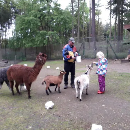 Heidehaus * Hodenhagen