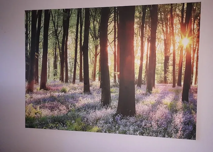 Heidehaus Lejlighed Hodenhagen