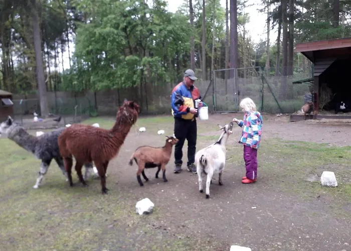 Heidehaus * Hodenhagen