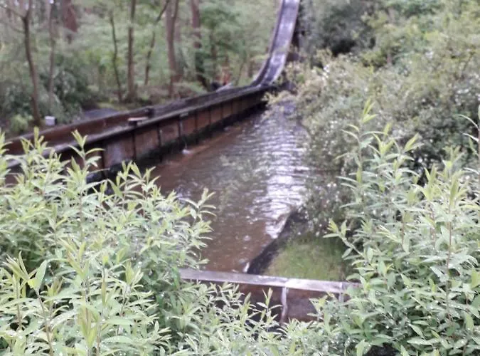 Heidehaus Lejlighed Hodenhagen